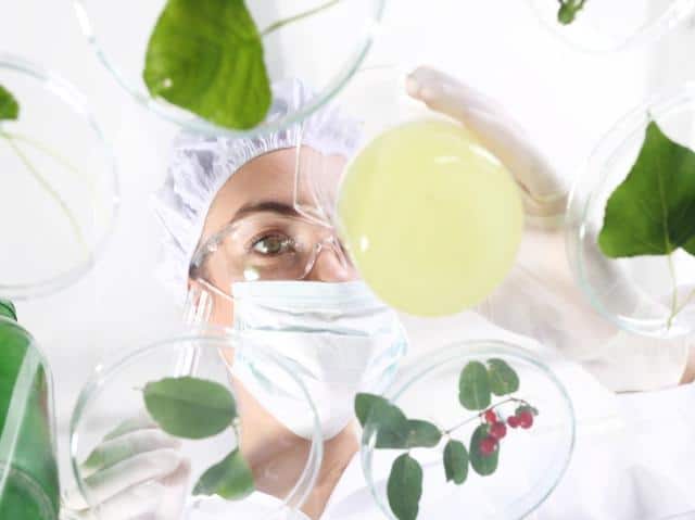 What is micro-propagation