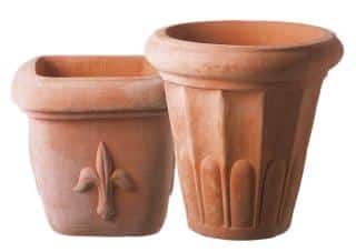 Pots for hellebore