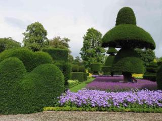 Starting topiary