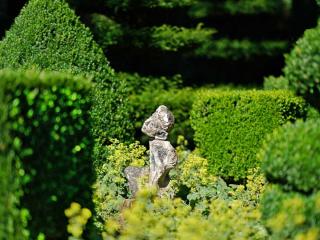 Landscaping with topiary