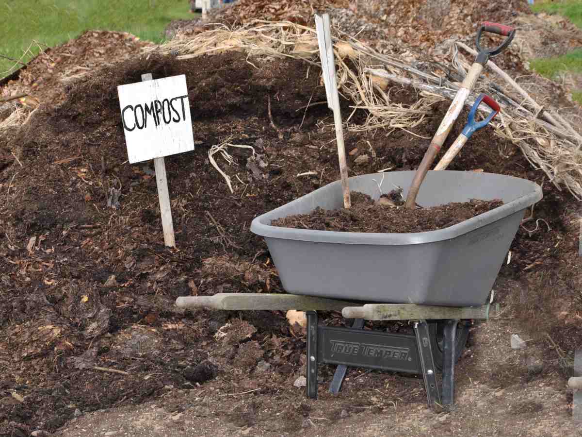 What is compost