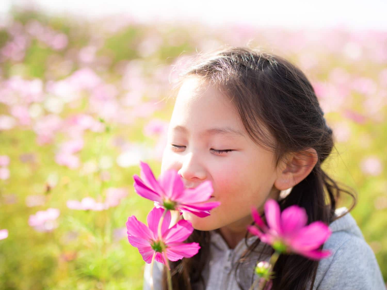 Fragrant garden flowers