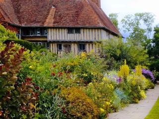 Mixed border garden