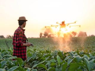 increase pollination with drones