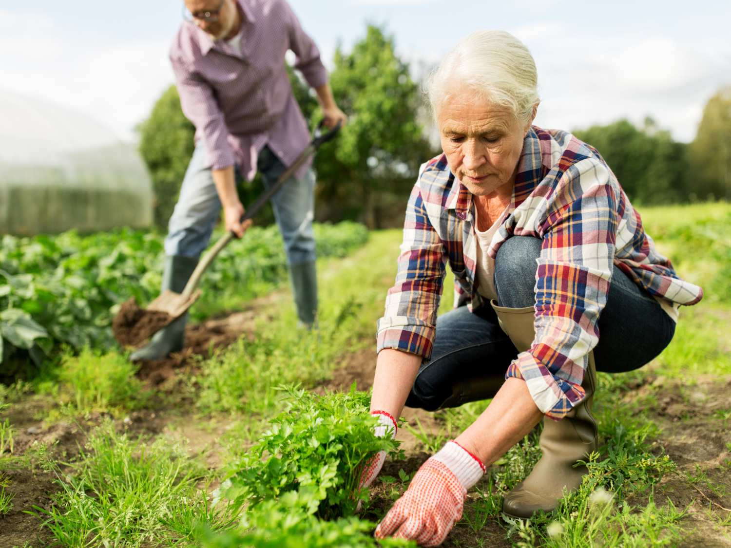 Natural weeding techniques