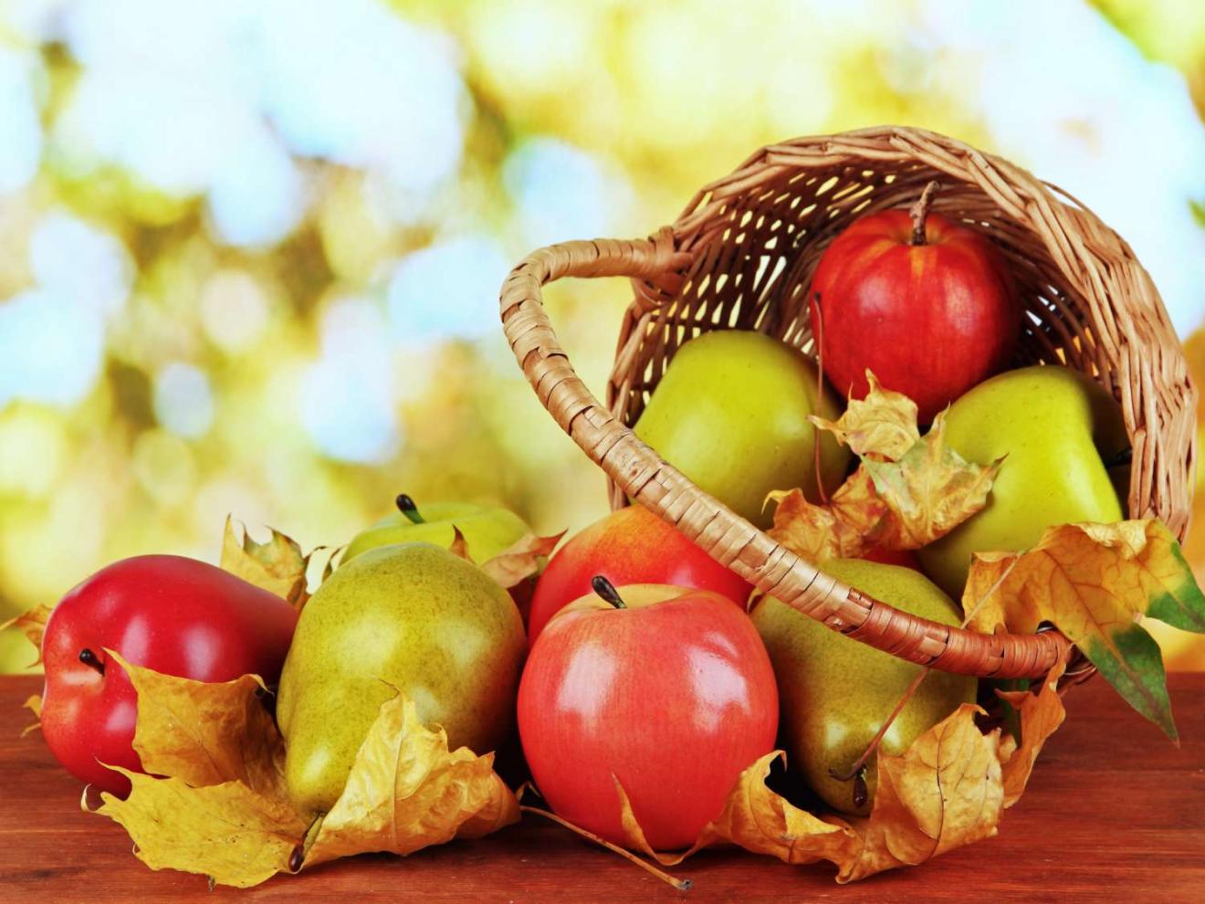 Bordeaux mixture - an effective organic treatment, but don't overdo it!