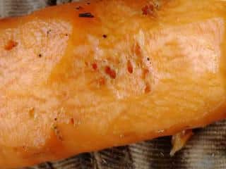 Carrot fly symptoms