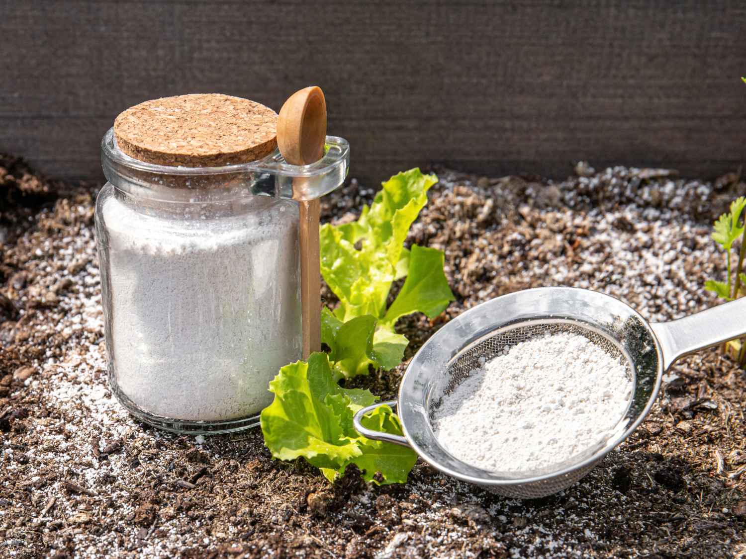 Uses of Diatomaceous earth