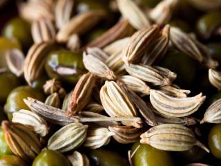 Fennel seeds