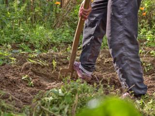 How to use a spading fork