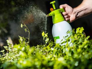 Hand pump spray for gardening