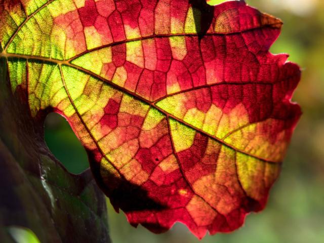 soil ph changes with seasons
