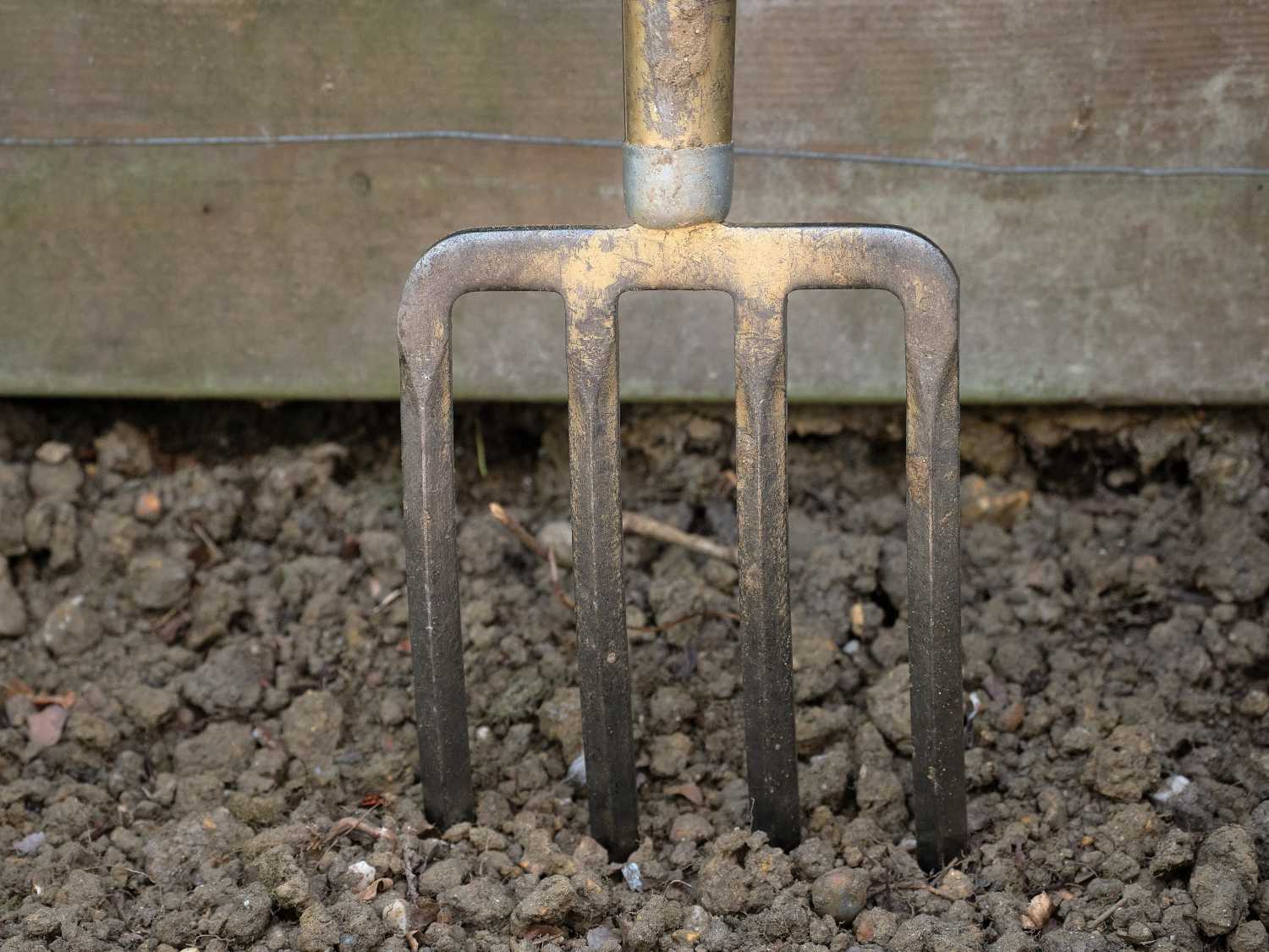 Spading fork, digging fork