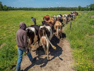 Life on an animal farm