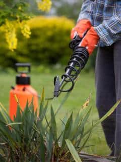 Gardening sprayers, different types