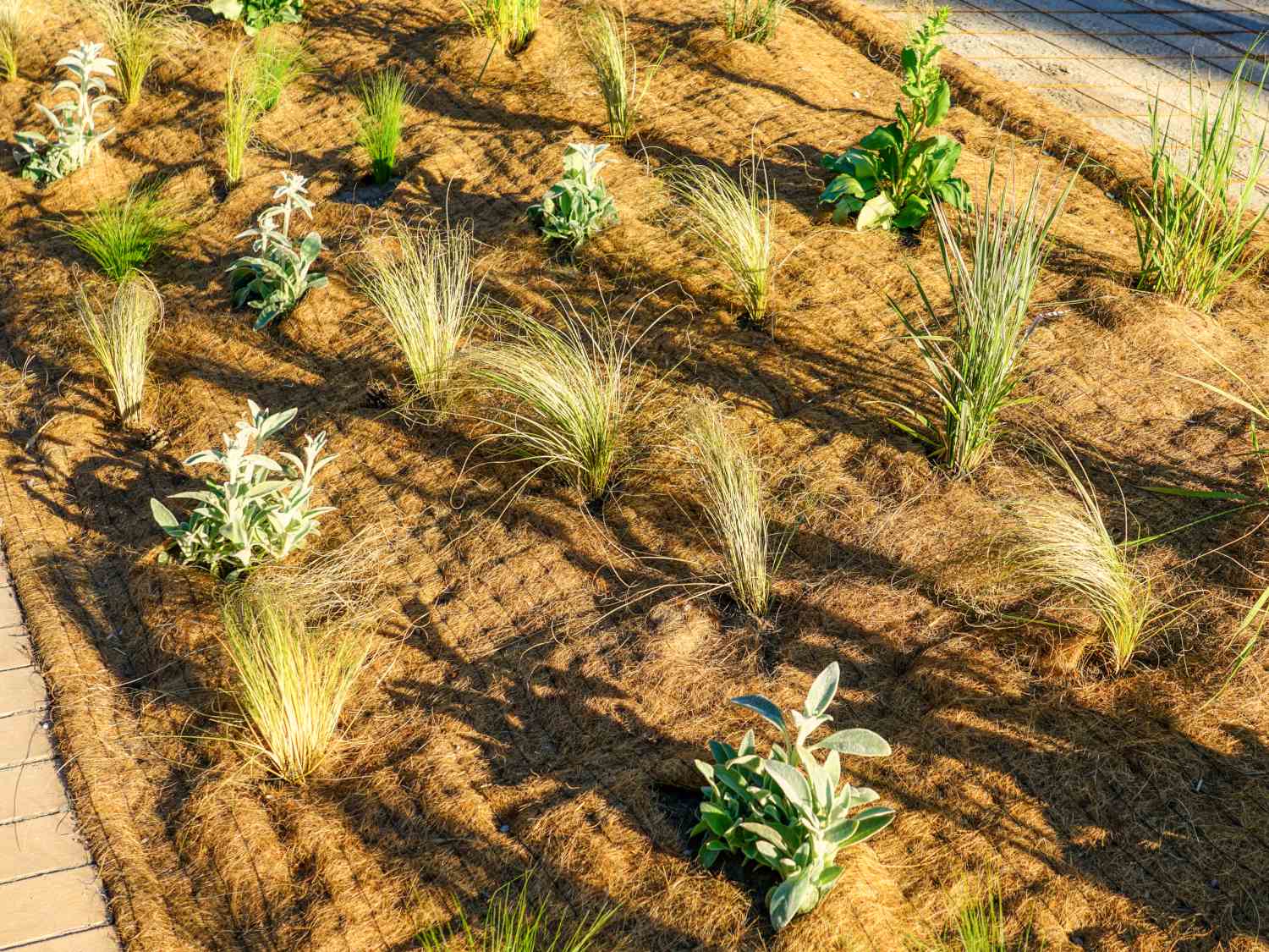 Mulch mats from biodegradable material