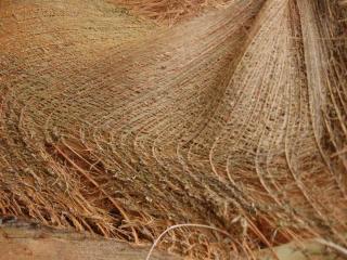 Fiber woven into landscaping fabric