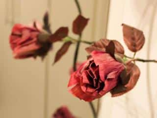 Dry rose bouquet