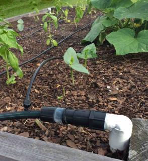 Drip irrigation system