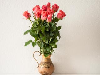 Exposure to extend rose bouquet