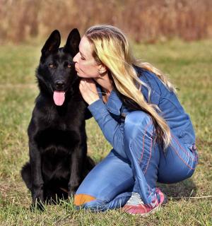 German shepherd behavior