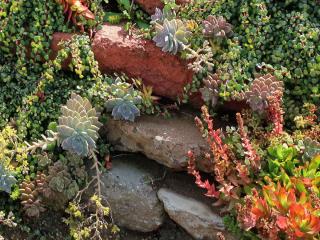 Dress mounds with rocks