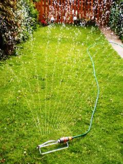 Oscillating sprinkler