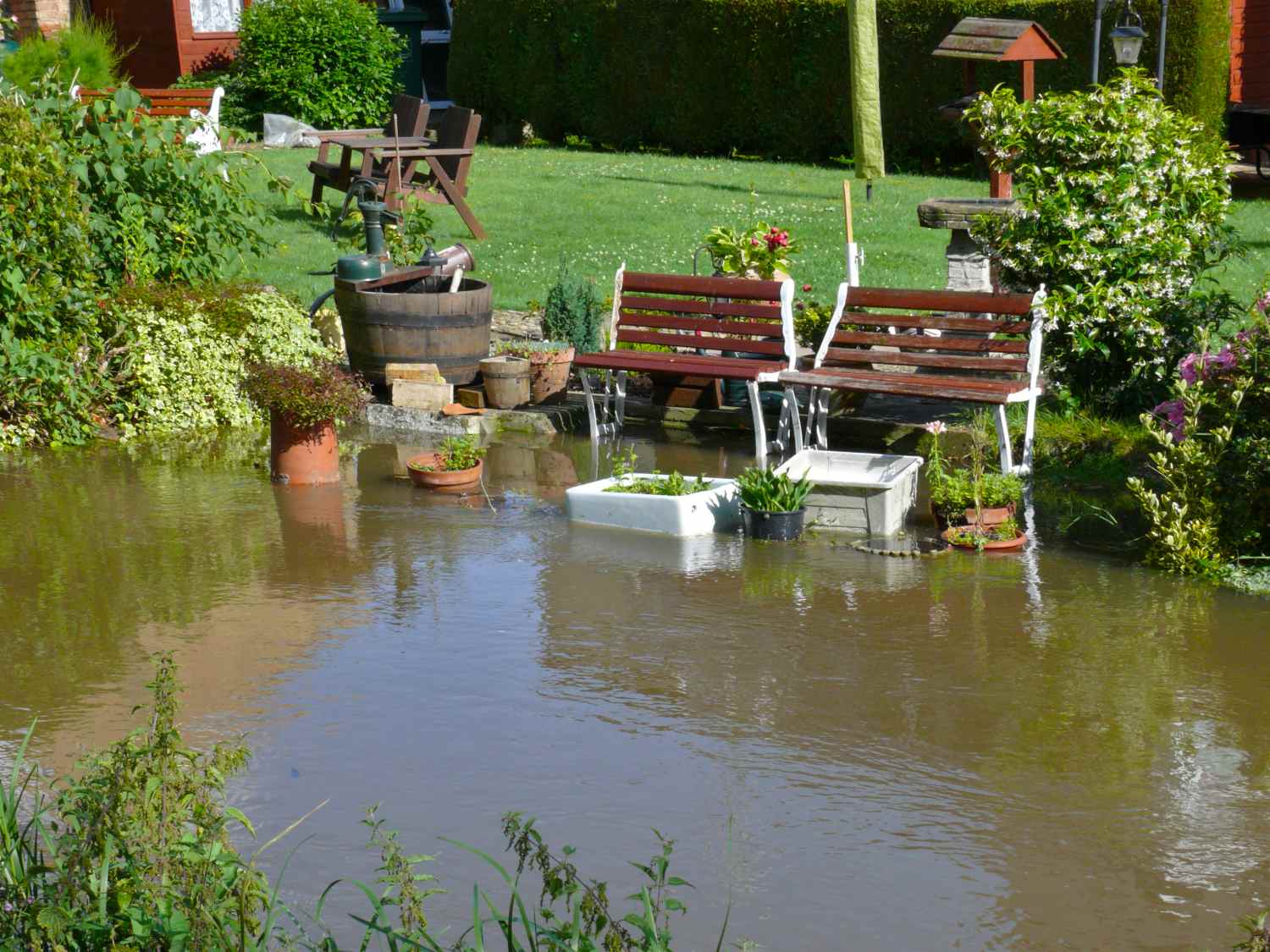 What to plant in often flooded gardens