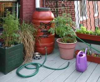 Best size for tank to harvest rainwater