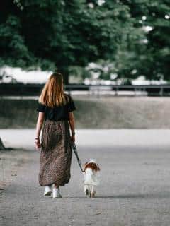 Practice leash walking