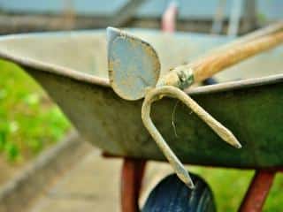 Tools for hoeing
