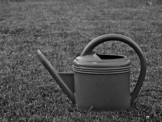 Watering can