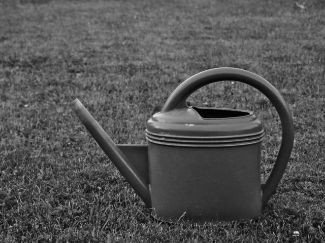 Watering can
