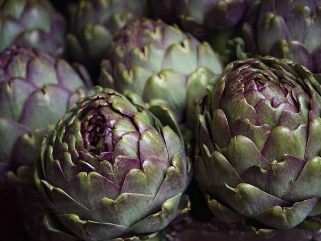 Basics about artichoke