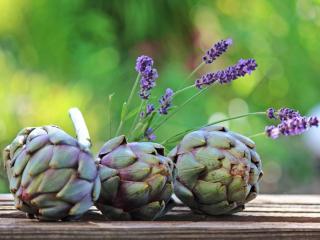 Origin of artichoke