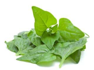Cooking with New Zealand spinach