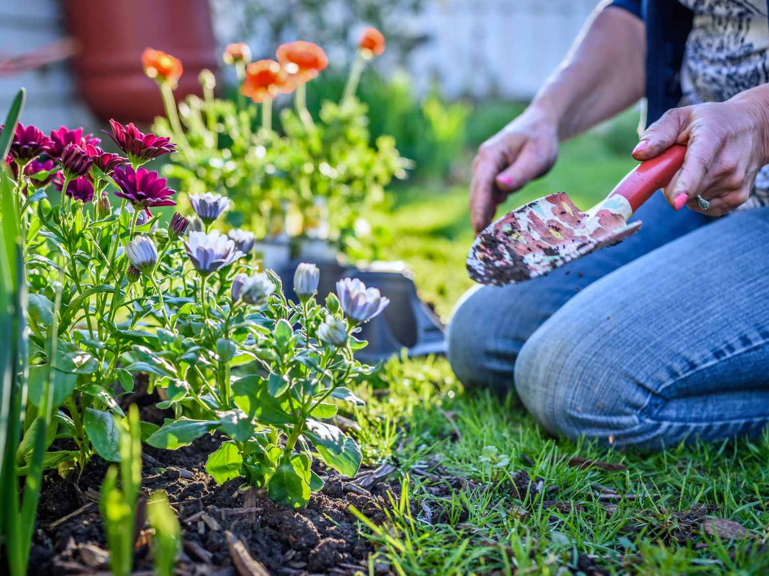 Which flowers to plant along edges