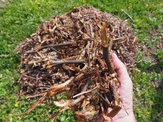 What to use shredder waste for