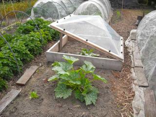 Small greenhouses for veggies