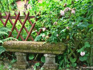 Stone bench in the garde