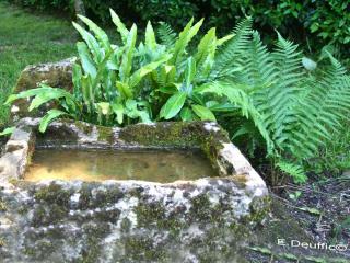 Old stone water trough