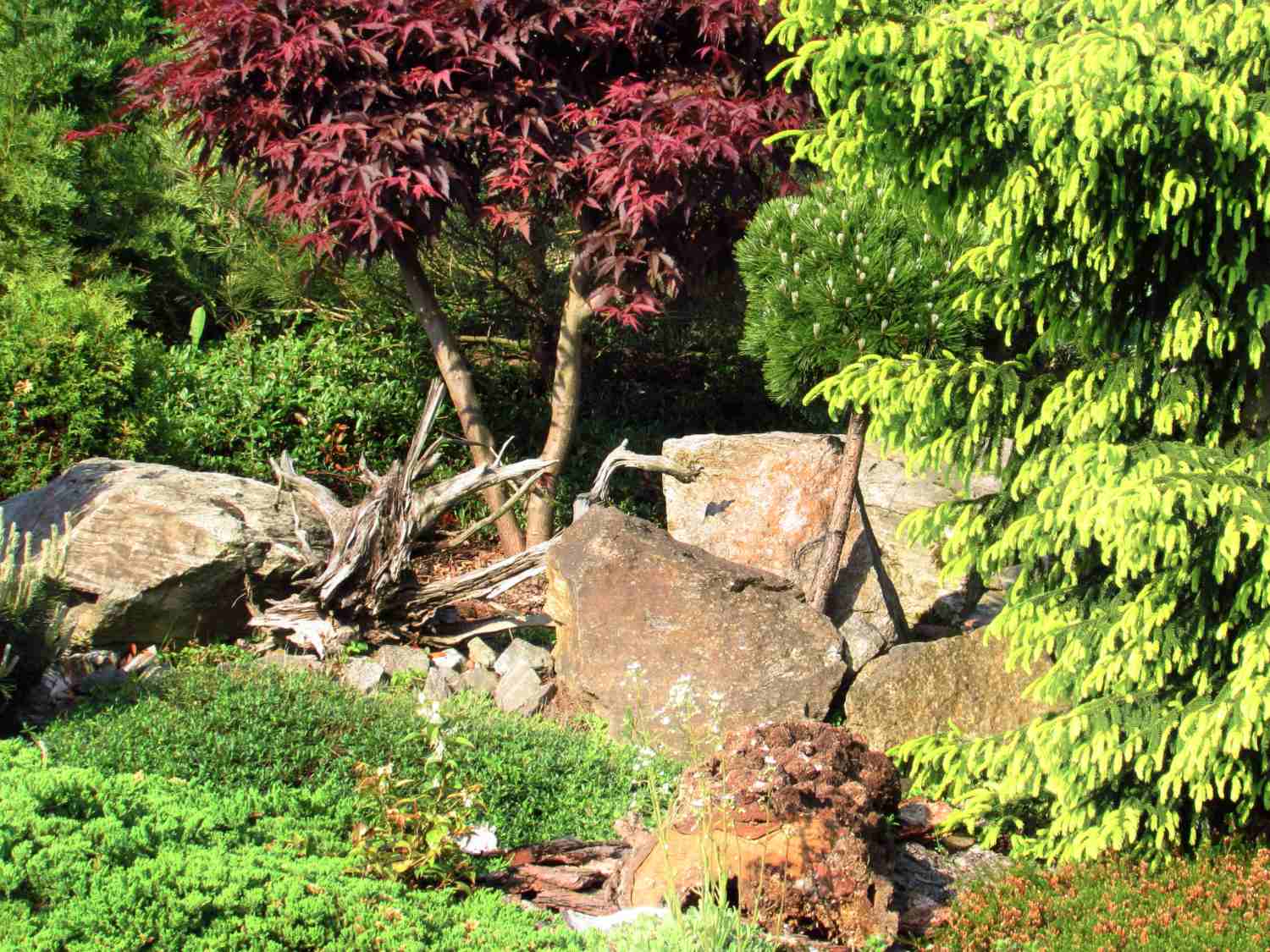 Stone and wood garden ideas