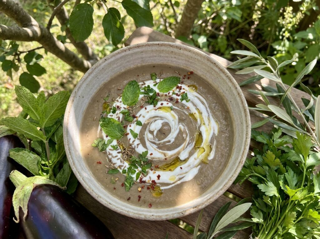Rustic bowl of silky bronze-grey aubergine soup swirled with white mint yogurt, scattered green mint and parsley, cumin seeds, red chilli flakes, olive oil drizzle