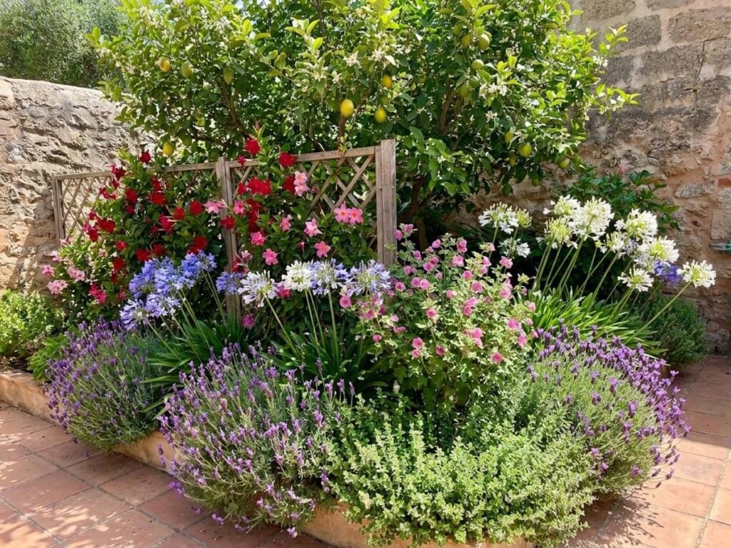a set of pots for a patio or balcony in full sun, flowering in summer