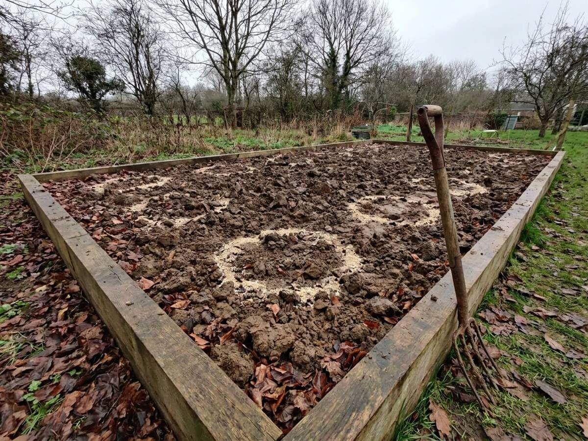Spring bulbs in heavy clay: the planting trick most guides omit